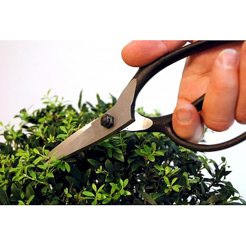 Ножиці Okatsune  KST201Bonsai / Окацуне Бонсаі  для бонсай + чохол