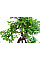 Ножиці Okatsune Bonsai KST206 для бонсай