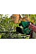 Кусторез аккумуляторный Bosch EasyHedgeCut EasyHedgeCut 18-45 18В акб 1х2А·час лезвие 45см шаг реза 15мм ЗП 3.7кг