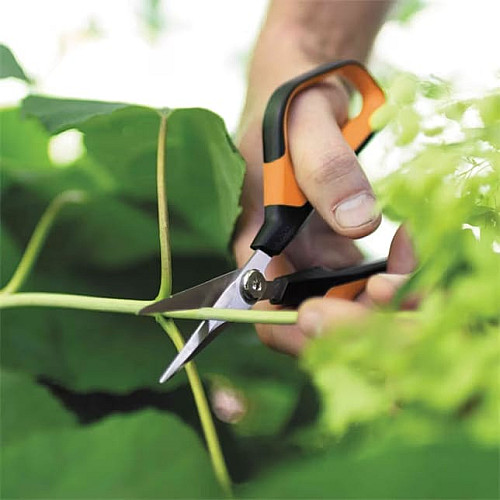Ножиці Fiskars Solid SP15 для рослин (1051602)