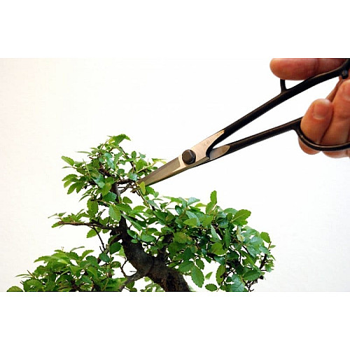Ножиці Okatsune Bonsai KST206 для бонсай