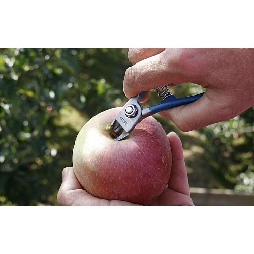 Кусачки 110 мм для збирання яблук, Manzana (M14-AM)
