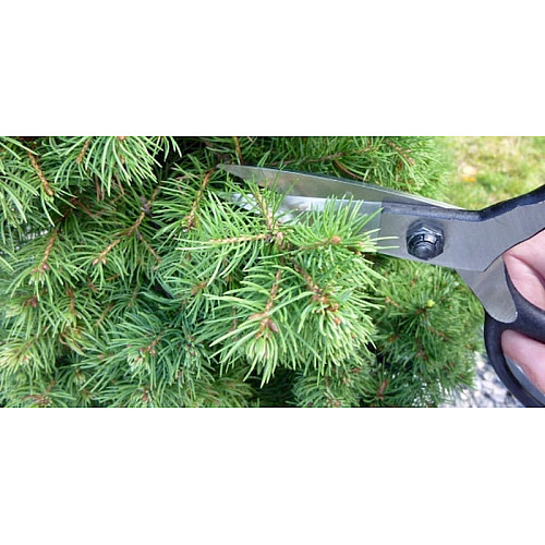 Ножницы Okatsune Bonsai KST203 для бонсай