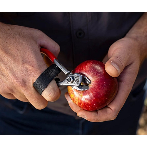 Секатор FELCO 330/Фелко 330 для сбора фруктов