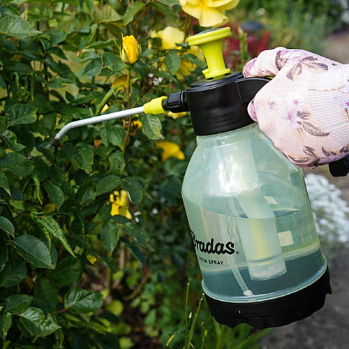 Пневматичний обприскувач 2л, AQUA SPRAY CLEAR, AS0200CL