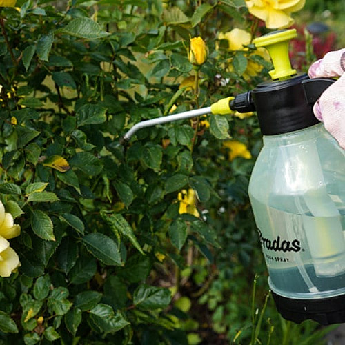 Пневматичний обприскувач 1,5л, AQUA SPRAY CLEAR, AS0150CL