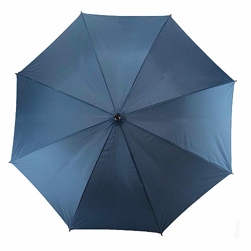 Зонтик Semi Line Blue (L2037-1)
