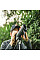 Підзорна труба Vortex Crossfire HD 12-36x50 AN (CF-50A)