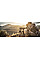 Штатив Vortex High Country II Tripod Kit (TR-HCY)
