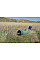Підзорна труба Kowa TSN-601 60 mm Angled (10016)