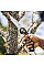 Складна пила Fiskars Plus™ SW69 (1067553)