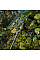 Тент камуфляж CAMOforest, 4х6м, 90 г/м², PLCF904/6