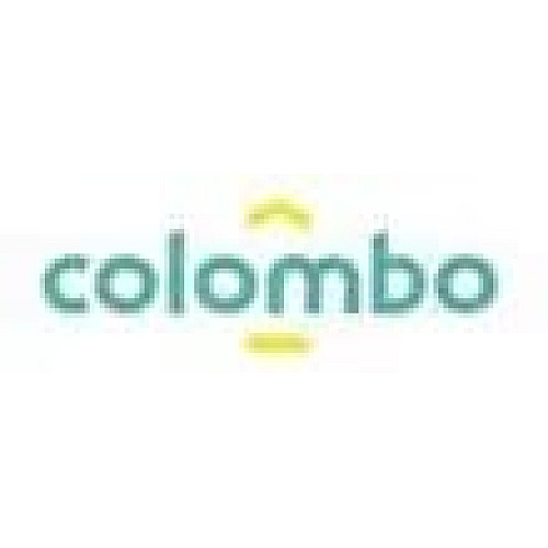 Чехол для гладильная доска Colombo Pearlised Silver 130 x 50 см (COP250)