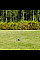 Дощувач Fiskars вихровий, металевий, з колесами (1023657)