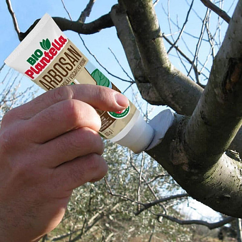 Лак-бальзам Bio Plantella Arbosan з фунгіцидом садова замазка з пензликом, 350 г (Арбосан Біо)