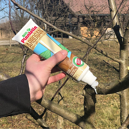 Лак-бальзам Bio Plantella Arbosan з фунгіцидом садова замазка з пензликом, 350 г (Арбосан Біо)