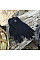 Перчатки водонепроницаемые Dexshell ToughShield, размер XL (DG458NXL)