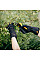Рукавички для догляду за чагарниками Fiskars (10)