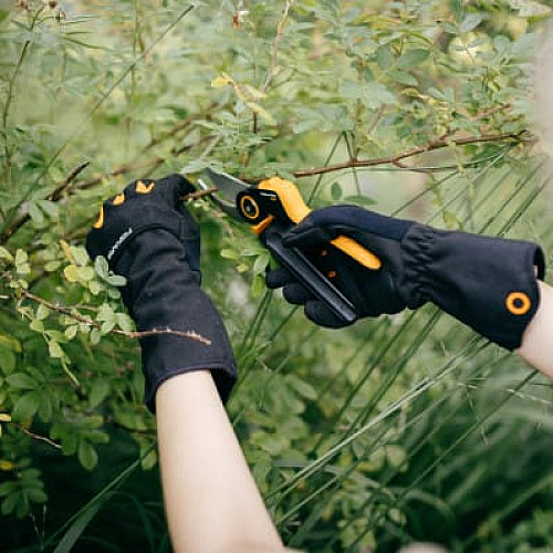 Рукавички для догляду за чагарниками Fiskars (10)