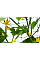 Сітка шпалерна PLANT NET, 8 г/м², 15x17см, 2x20м, AS-CN08151720020