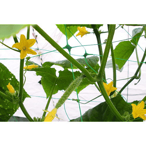 Сітка шпалерна PLANT NET, 8 г/м², 15x17см, 1,7x500м, AS-CN08151717500