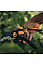 Секатор Fiskars Plus P521 обвідний (1057167)