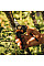 Секатор Fiskars PowerGear X-series P961 L обвідний (1057175)