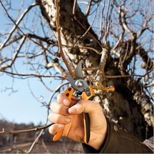 Секатор Fiskars PB-8 M професійний обвідний (1020204)