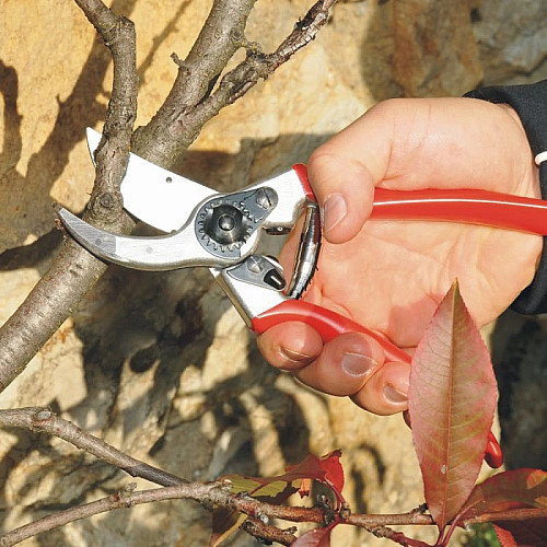 Набор FELCO 2 + ПОДАРОК (Секатор Фелко 2 + Фирменная Шапка Фелко в подарочной коробке)