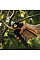 Секатор Fiskars PowerGear X-series P921 M обвідний (1057173)