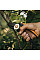 Секатор Fiskars Solid P361 с наковальней (1057165)