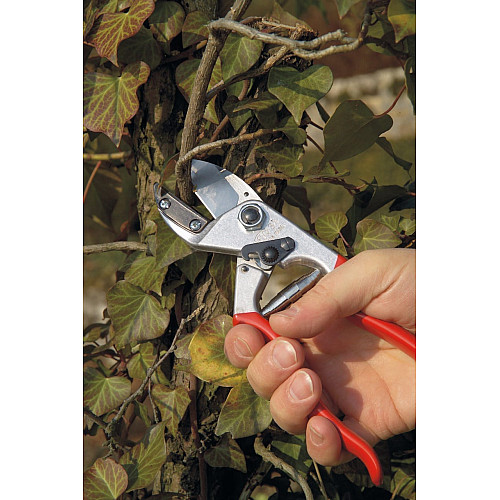 Секатор садовий Felco 31 / Фелко 31 з ковадлом