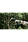 Секатор аккумуляторный Бош / Bosch Professional Pro Pruner (06019K1021) + 2АКБ и ЗУ комплект