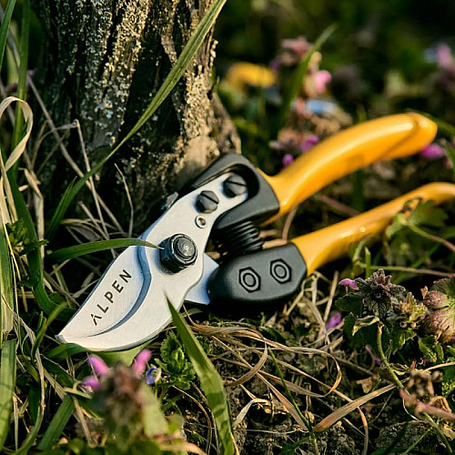 Садовый секатор Alpen Gelbhorn 150 / Альпен Гелбхорн 150 обводной Швейцария