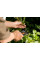 Секатор Fiskars P26 SingleStep 111260 (1000567)