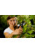 Секатор Fiskars P26 SingleStep 111260 (1000567)