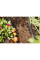 Шланг Fiskars для крапельного поливу, 15 м (1025935)