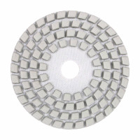 Круги алмазні полірувальні Круг 100x3x15 CleanPad #0
