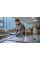 Шліфмашина ексцентрикова Bosch GSS 160 Multi 180Вт 24000об·хв 1.2кг