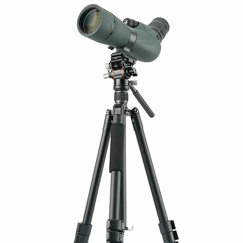 Штатив Vanguard Vesta Go 234AV10 (Vesta Go 234AV10)