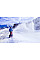 Снігоприбирач бензиновий AL-KO Snow Line 560 II