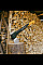 Сокира-колун Fiskars X-series X24 Splitting M