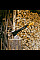 Сокира-колун Fiskars X-series X24 Splitting S