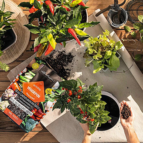 Субстрат Lechuza для овощей Veggie Pon 12 л