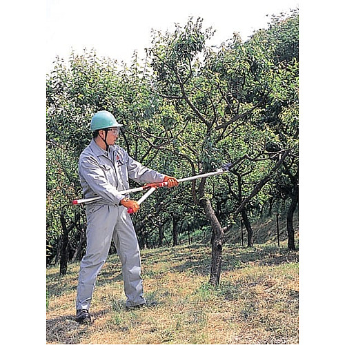 Сучкорез ARS 185-1.5 на штанге 1.5 м
