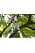 Сучкоріз Gardena EnergyCut 600B для зелених гілок 42 мм (12006-20.000.00)