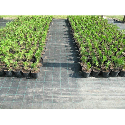 Геотекстиль тканий / агроткань Agrocover 100 г/м2 1.05x100 м