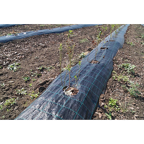 Геотекстиль тканий / агроткань Agrocover 100 г/м2 1.05x100 м