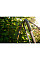 Конектор 3/4