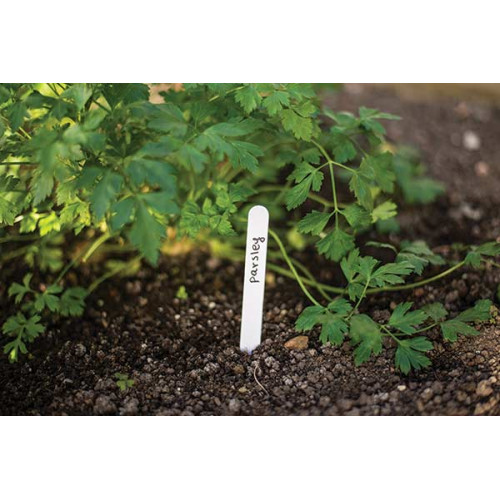 Маркер для рослин, 15 x 1,5см - 25 шт., TYE1515
